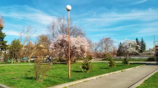 The Laughing Dinosaur Statue