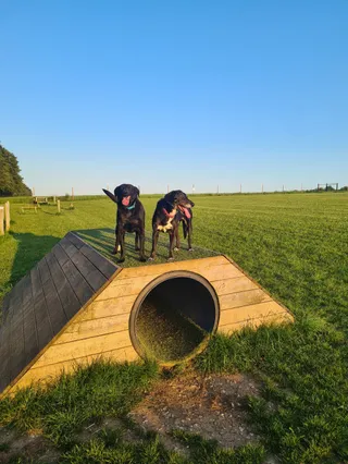 Percy's Paddock