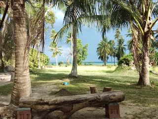 Laem Sor Beach Disc Golf & Acoustic Cafe