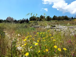 Мемориал Кеннеди