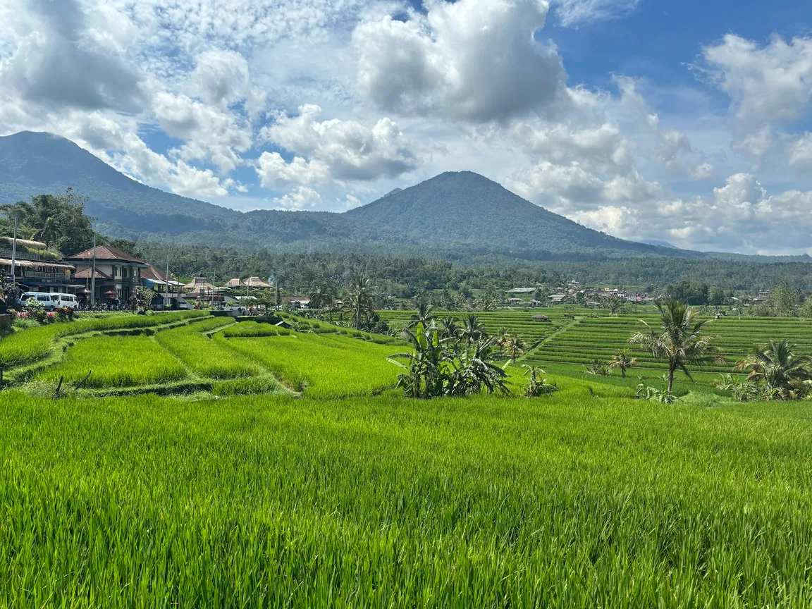 Bali Om Tours