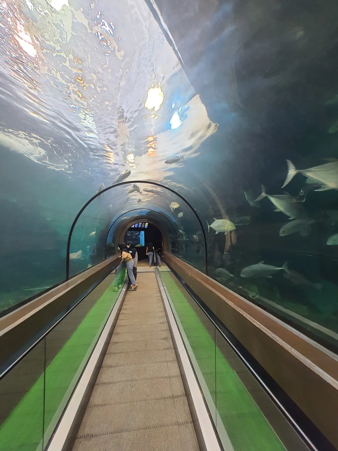 Phuket Aquarium