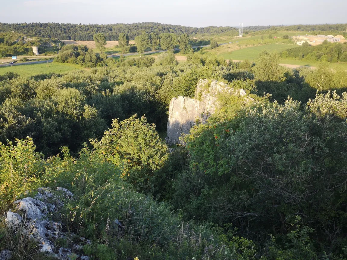 Żytnie Skały
