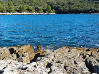 Dog Beach