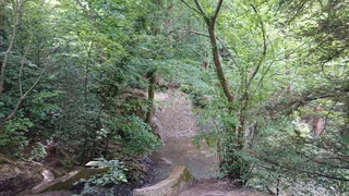 Bedelands Nature Reserve