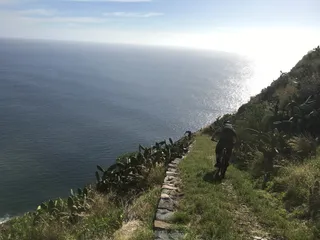 Bikebus Madeira