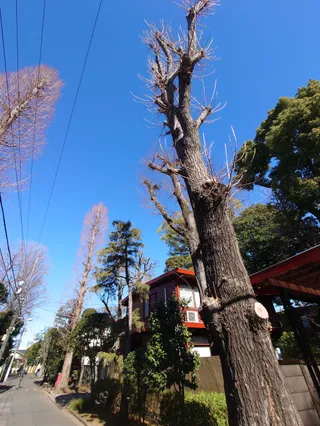 Tokugawa Village