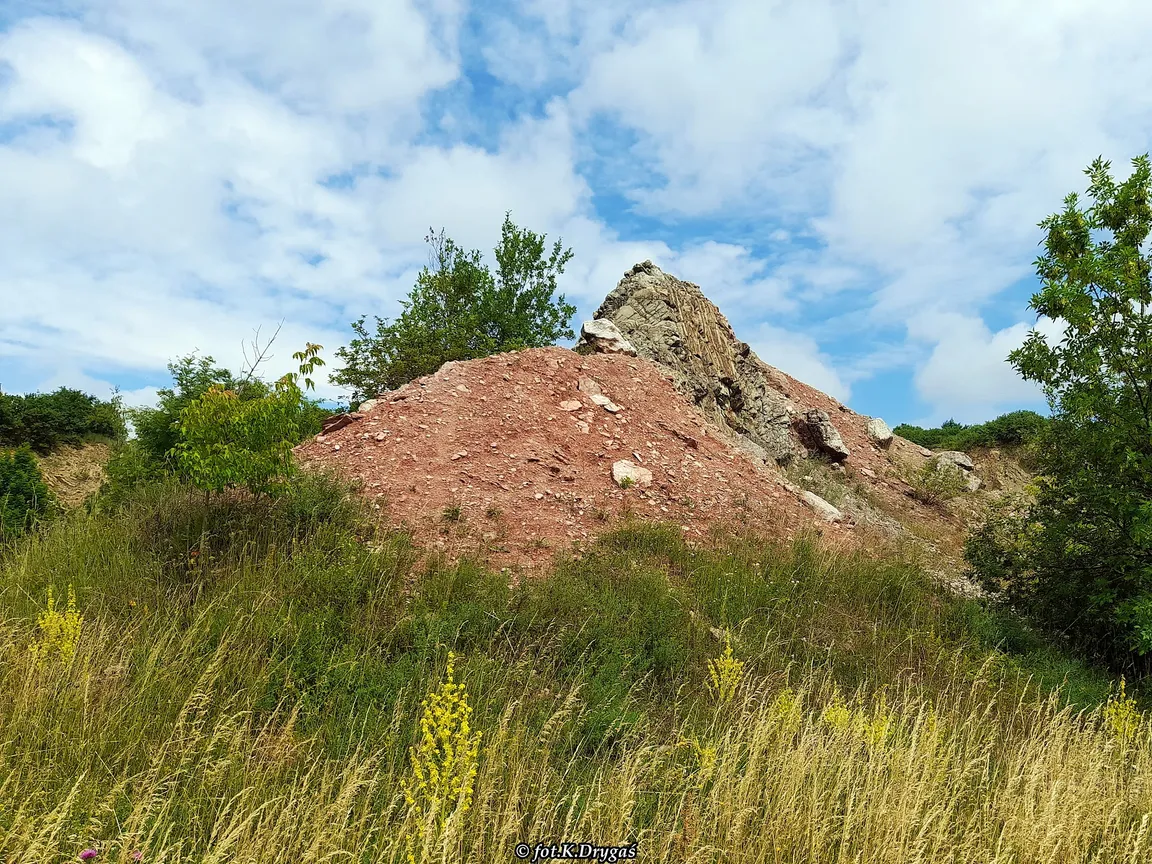 Rezerwat Przyrody Wietrznia im. Zbigniewa Rubinowskiego