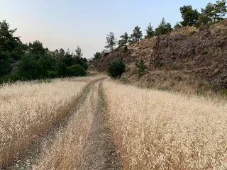 Entrance to Nature Trail