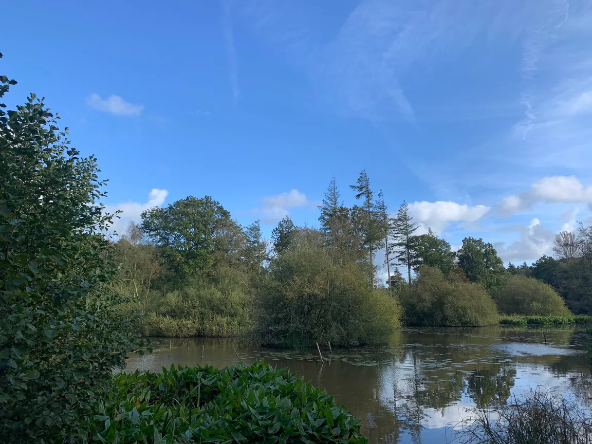 Abbot's Wood