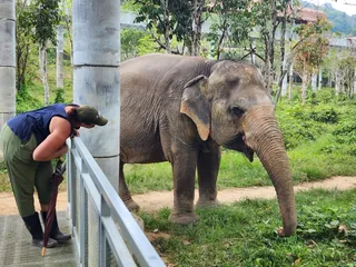 Phuket Elephant Sanctuary