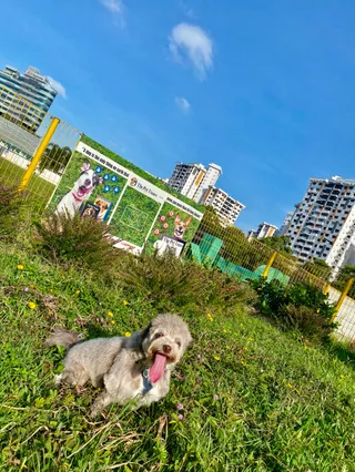 JPG Dog Run