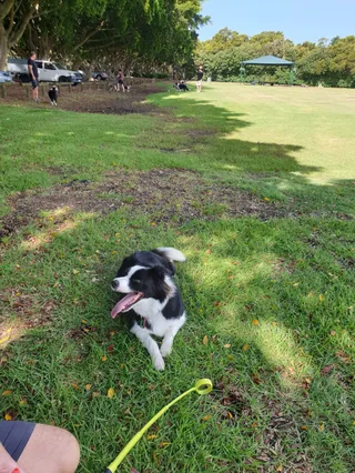 Elanora Park