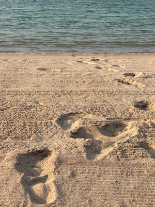 Lido Venezia Community Beach, Qanat Quartier