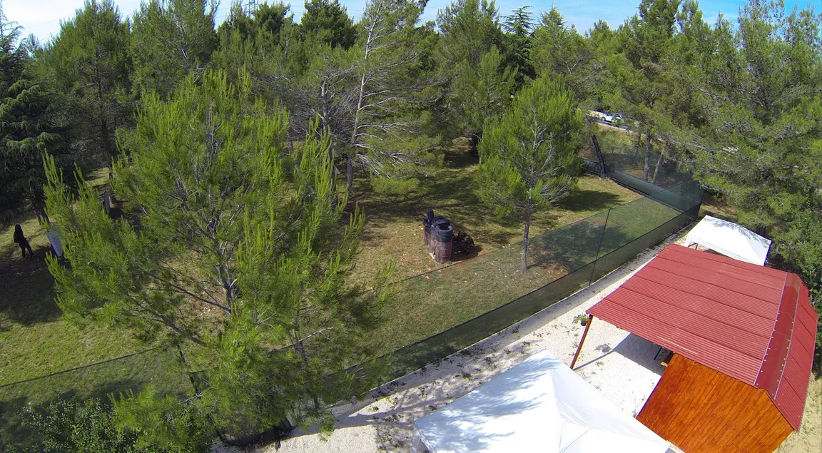 TEAMBUILDING Ltd. Adventure Park