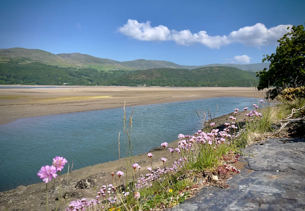 The Mawddach Trail