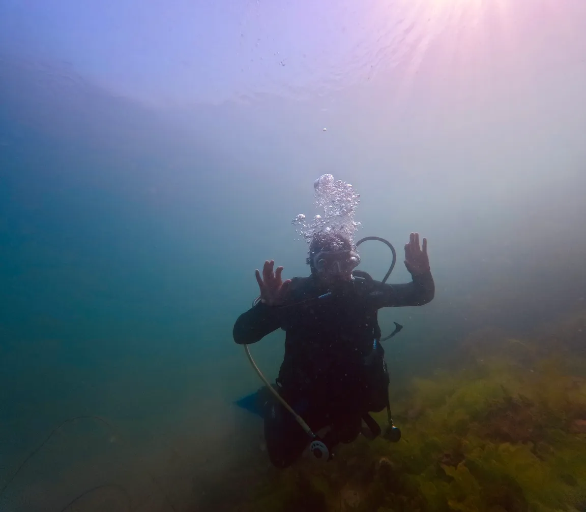 Kenmare Bay Diving