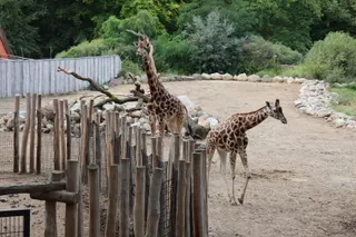 Zoo Schwerin