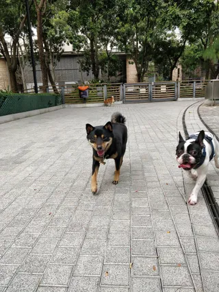 Tung Chung North Park Tai Chi Garden (Inclusive Park for Pet)