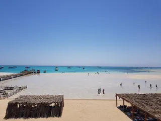 Mario Tour Egypt