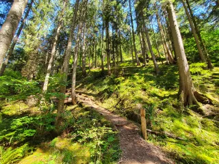 Rötenbachschlucht