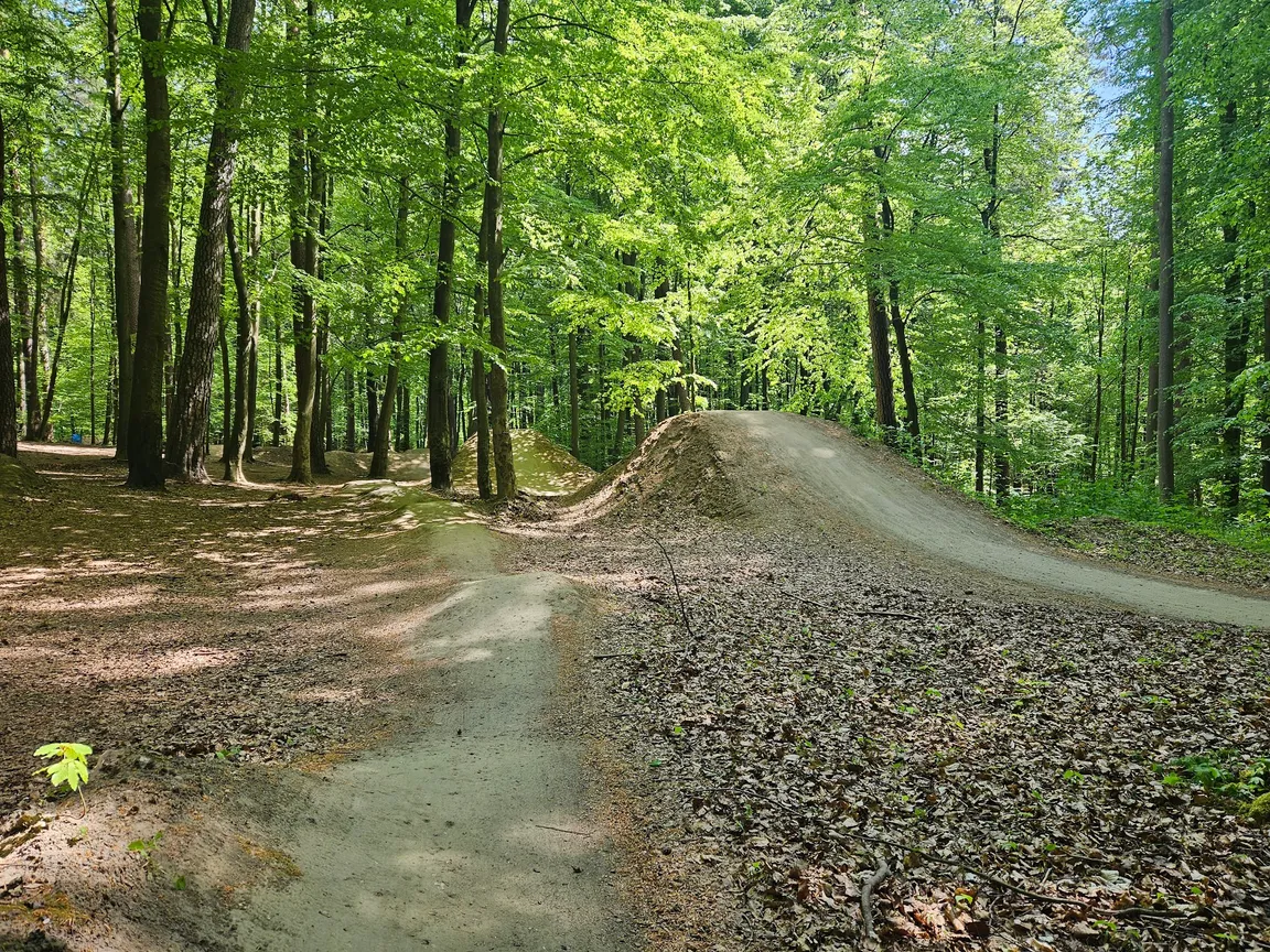 Bike Park Wąwóz Olsztyn