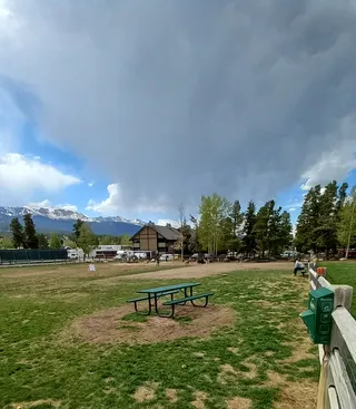Carter Dog Park