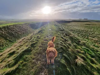 Barbury Castle Country Park