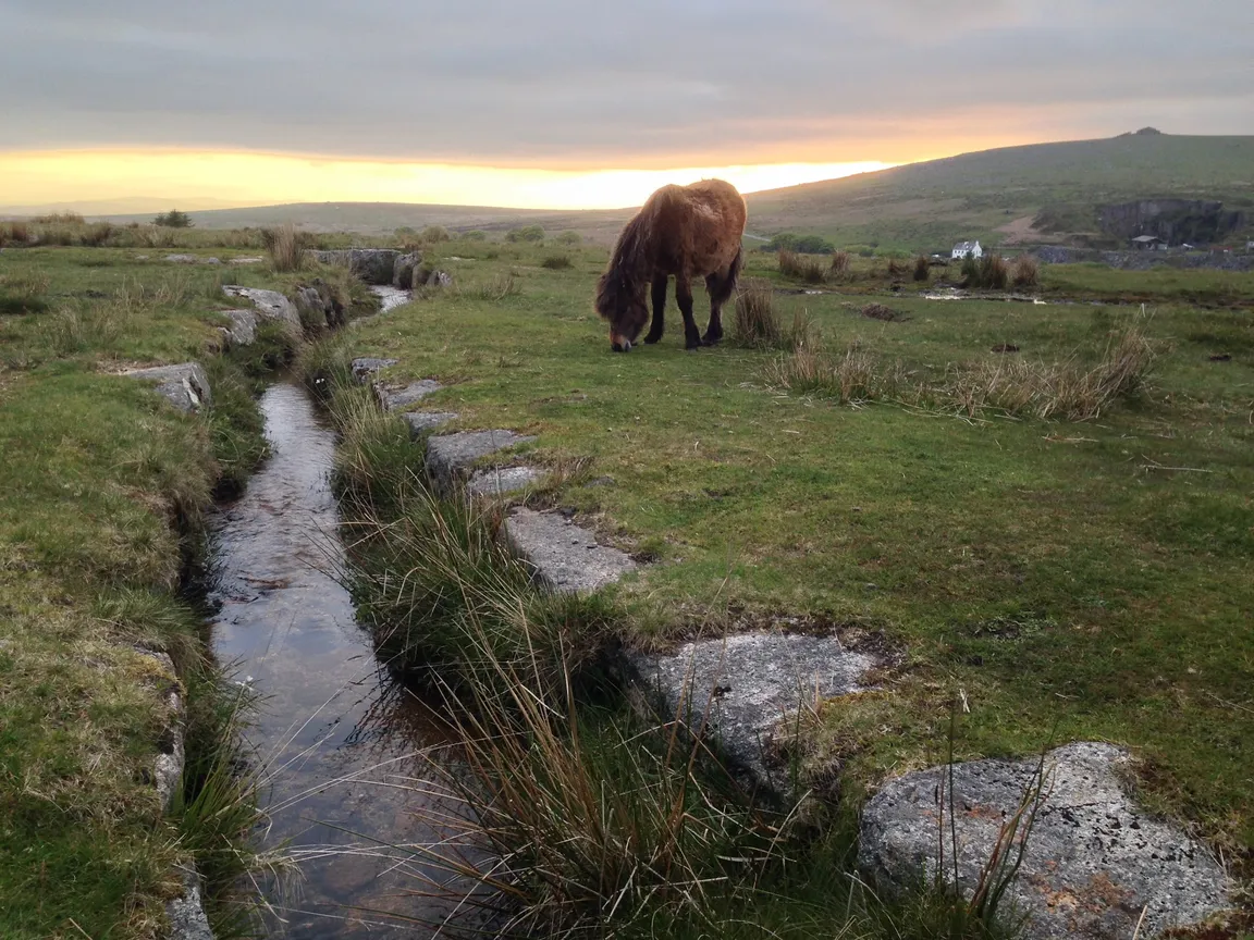 Merrivale Prehistoric Settlement