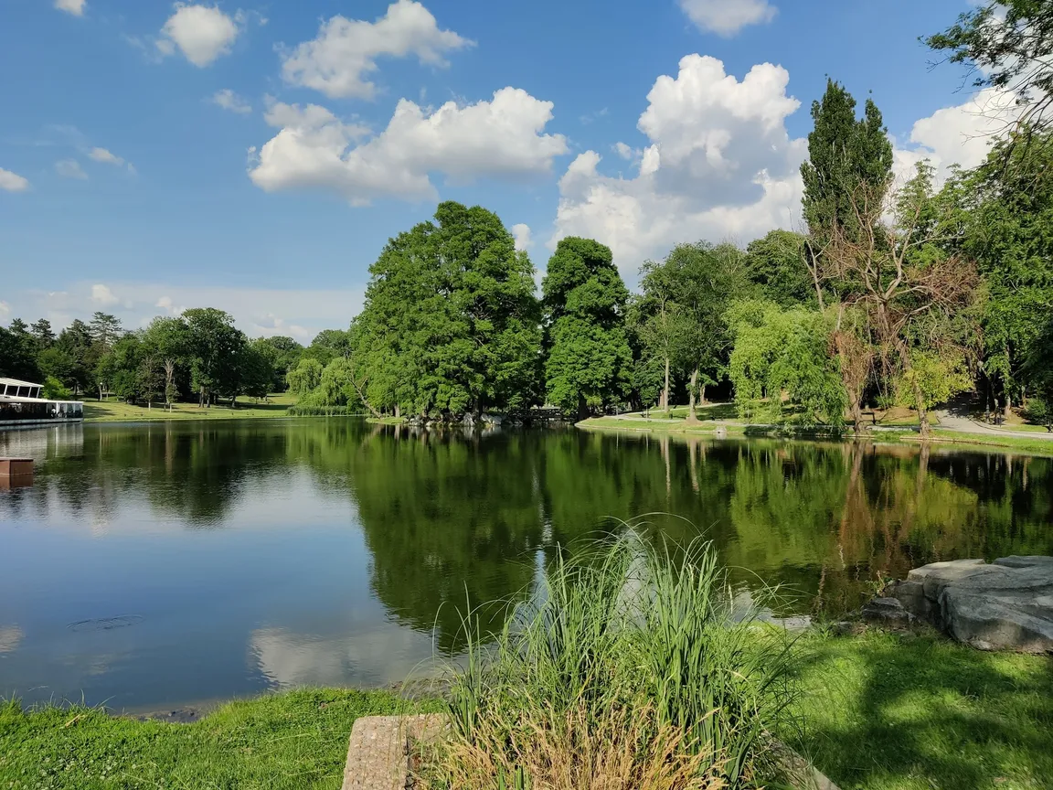 Nicolae Romanescu Park