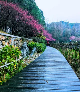 Huanhuaxi Park （North Gate 1）