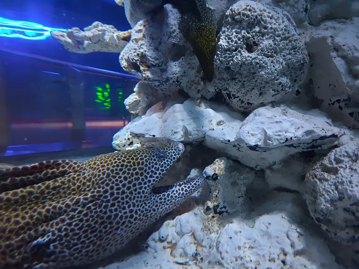 Sharjah Aquarium
