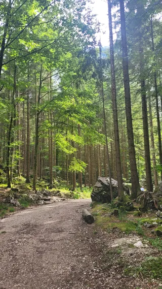 Hinterer Langbathsee Trail