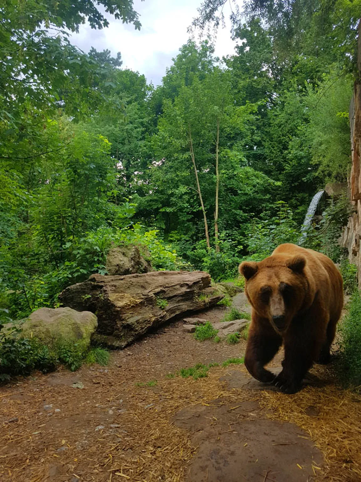 Alpenzoo Innsbruck - Tirol
