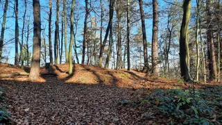 Kamień Leski