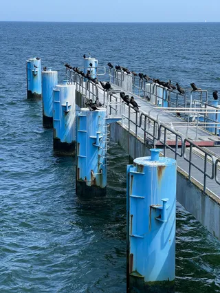 Lift Sellin Pier