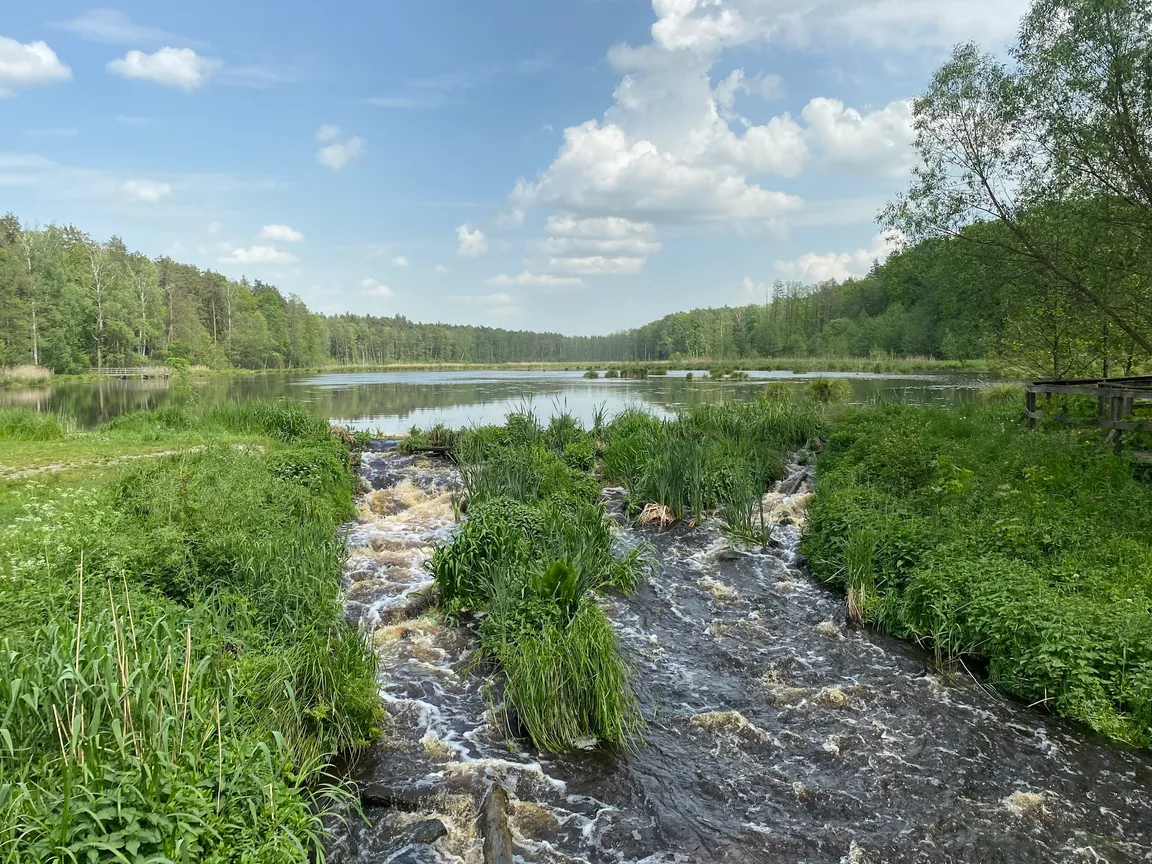 Ścieżka przyrodnicza "Bobrówka"
