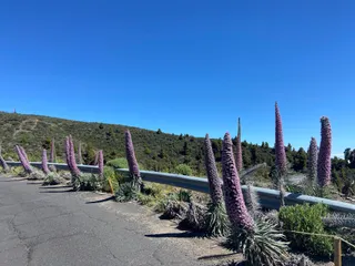 Inicio ruta