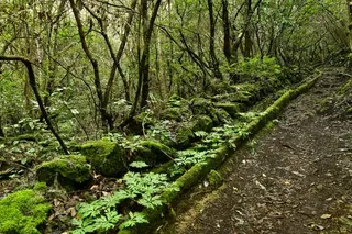 Sendero Cuevas Negras - Los Silos