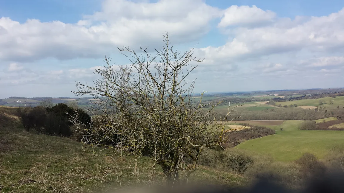 Old Winchester Hill