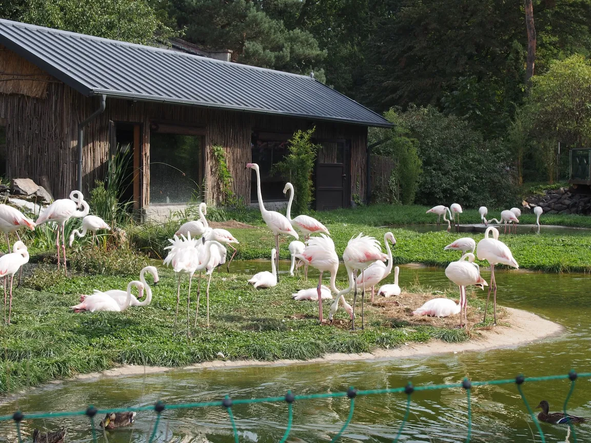 Zoo Opole