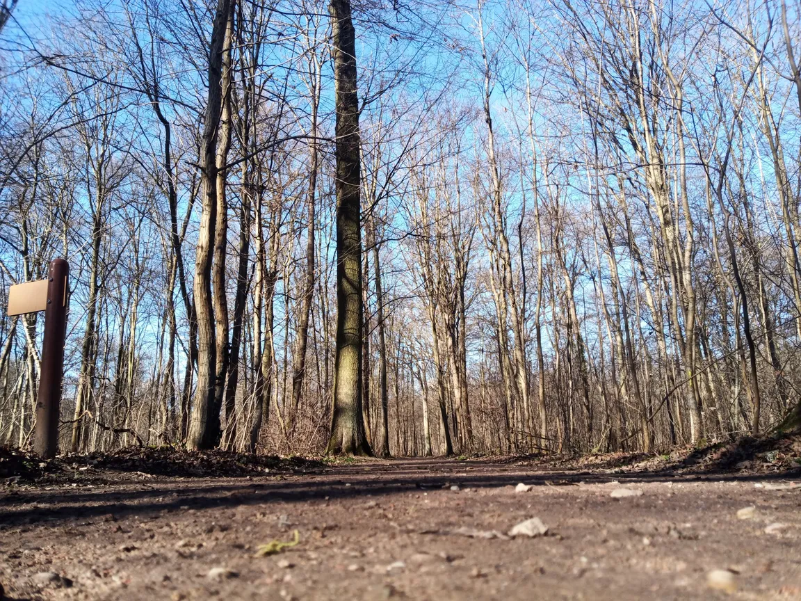 Parcours Vita fontaine