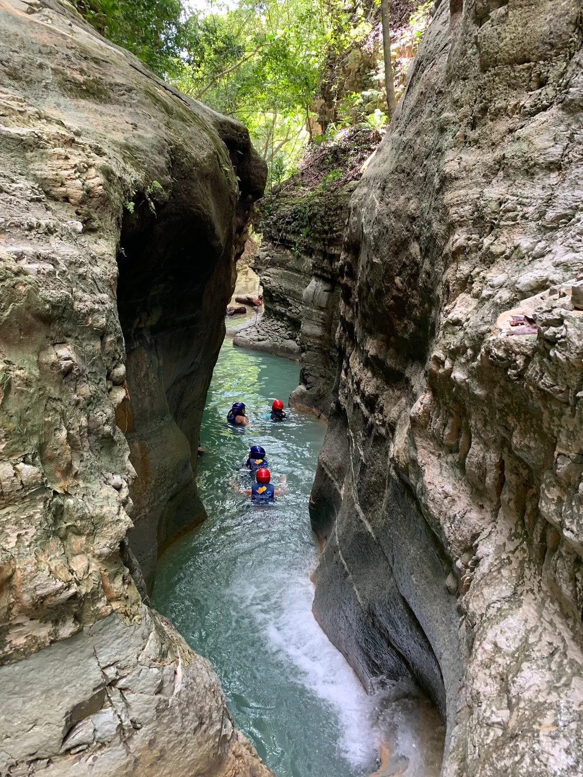 27 Waterfalls of Damajagua, Puerto Plata | Tours & Excursions