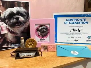 Loyal Pet Cremation QC Branch