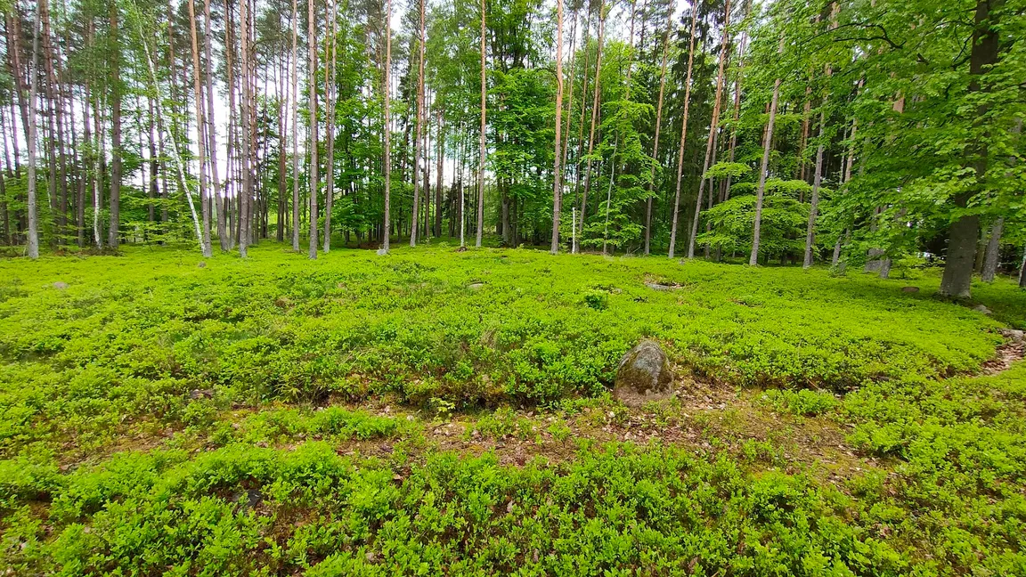 Kamienne Kręgi Gotów