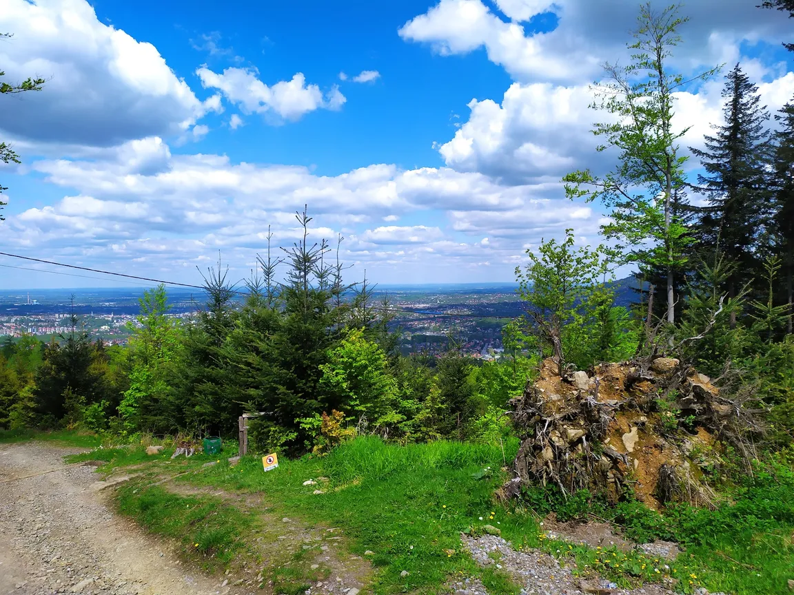 Park Cygański Las w Bielsku-Białej