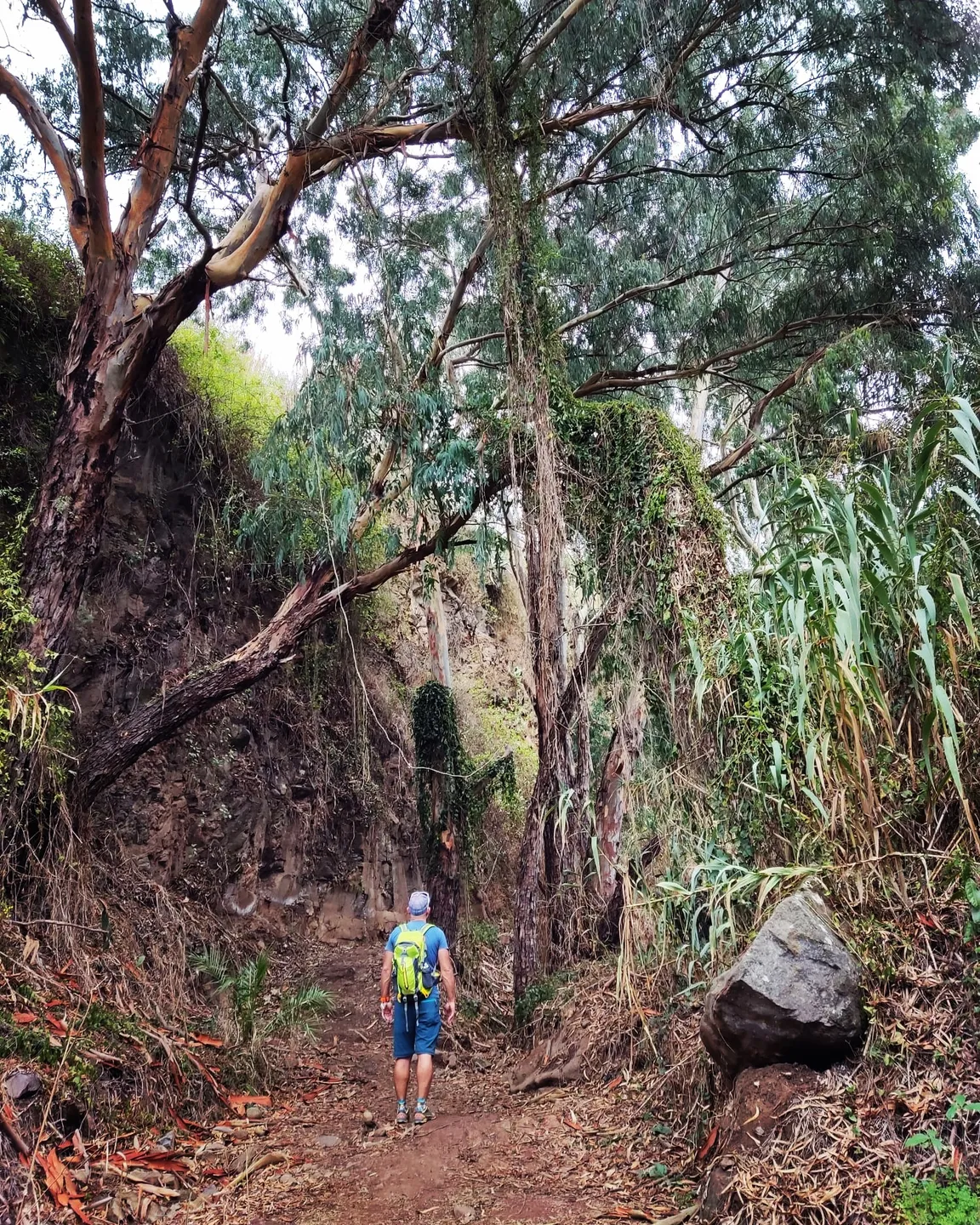 La 365 Trail