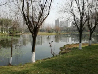 Donghu Park （West Gate）