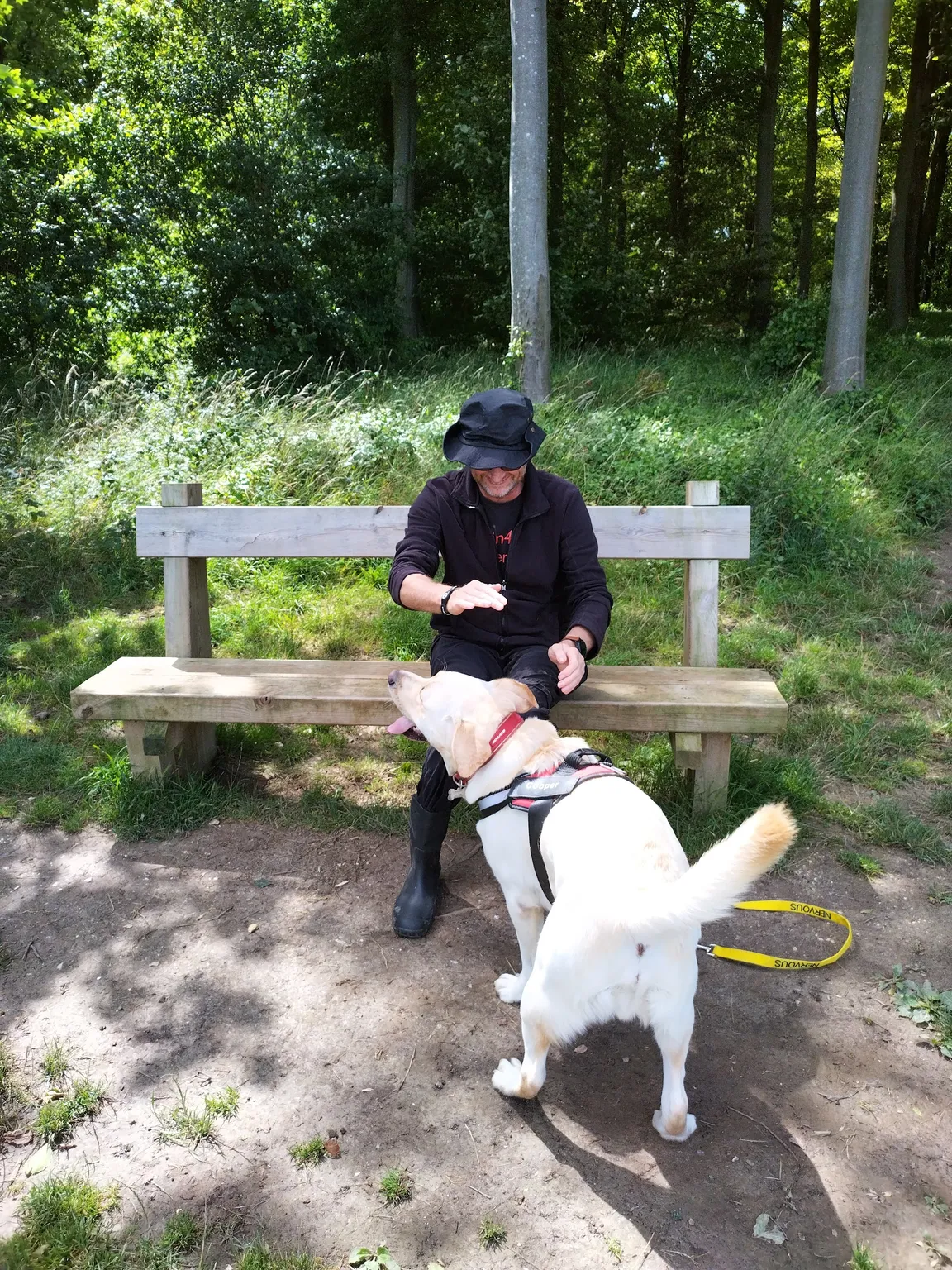 Friston Forest