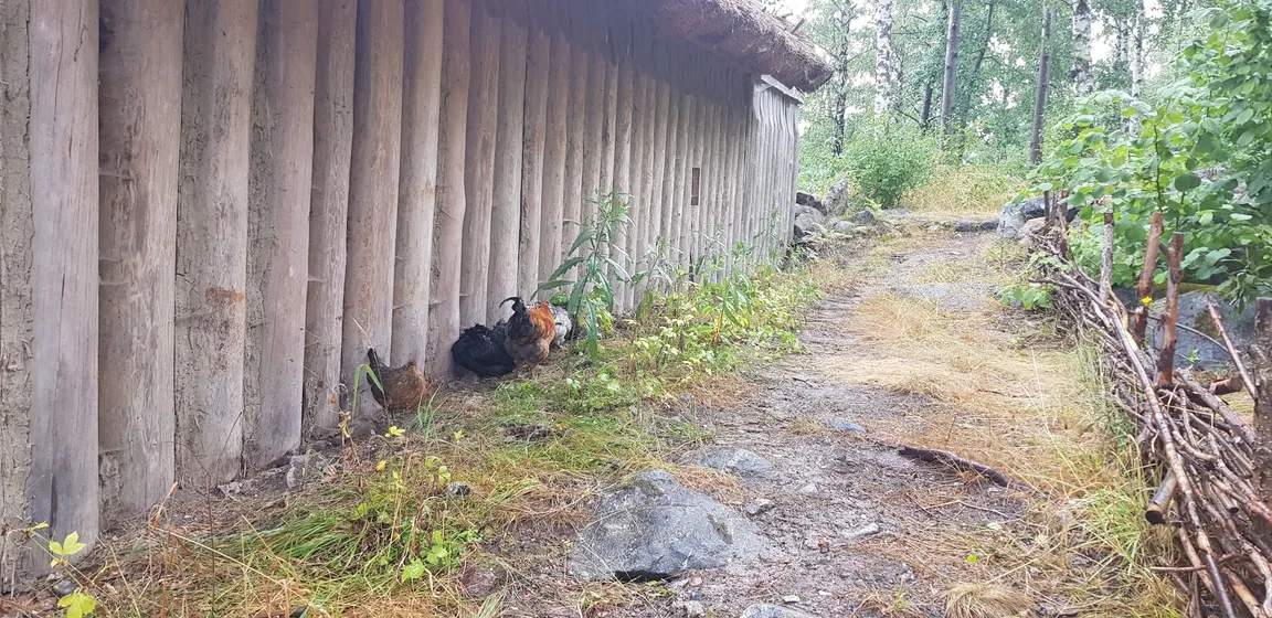 Björkö-Birka (Island in Lake Mälaren with remnants of the former trading town Birka)